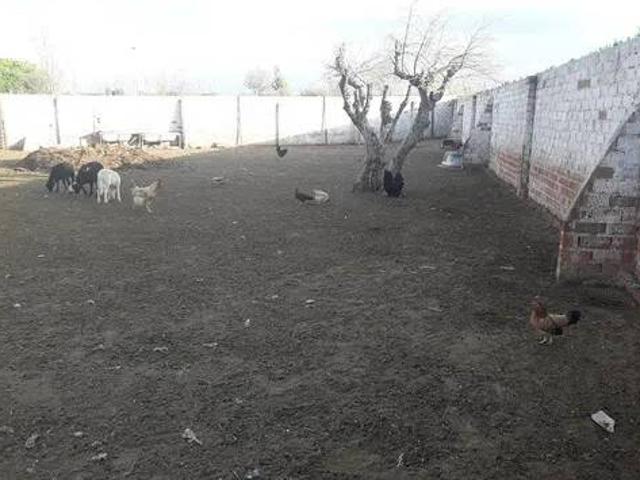 Casa Rural en venta en Montearagón, Castilla-La Mancha