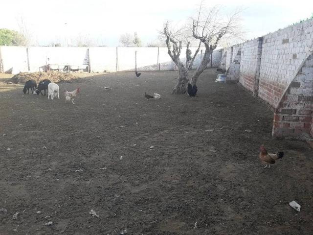 Quinta en venta en Montearagón