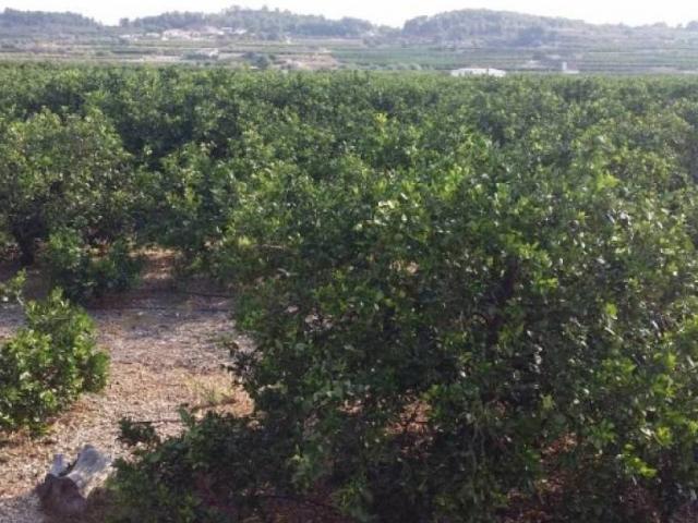 Casa Rural en venta en Montroy