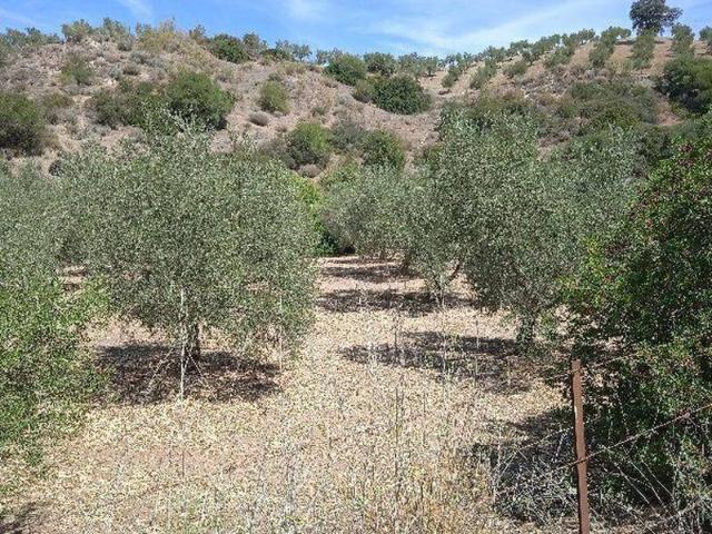 Casa Rural en venta en Morón De La Frontera, Andalucía