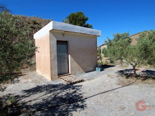 Quinta en venta en Motril