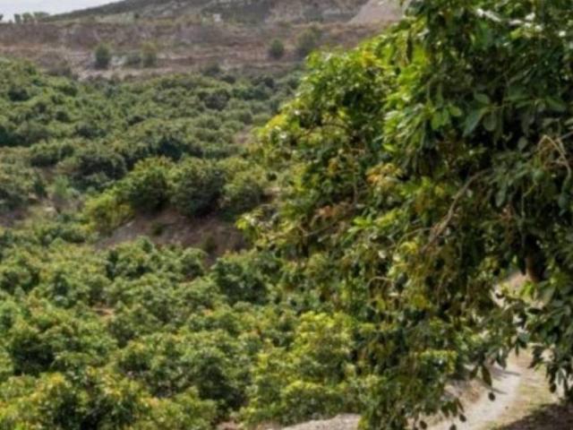 Quinta en venta en Motril