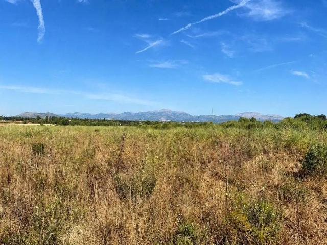Casa Rural en venta en Pla de Mallorca, Baleares