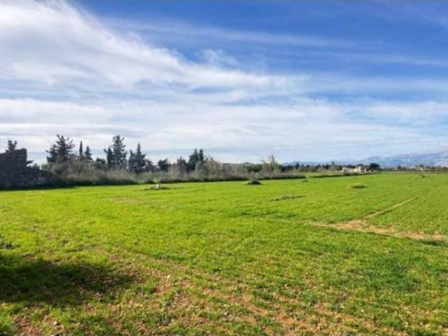 Casa Rural en venta en Pla de Mallorca, Baleares