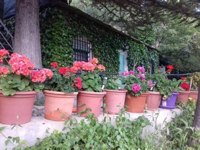 Casa Rural en venta en Nevada, Granada