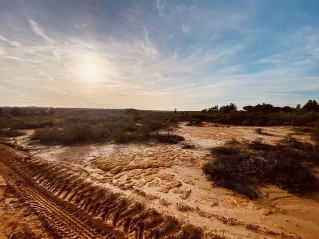 Casa Rural en venta en Niebla