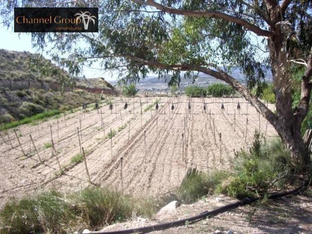 Casa Rural en venta en el Vinalopó Mitjà / El Vinalopó Medio, Valencia