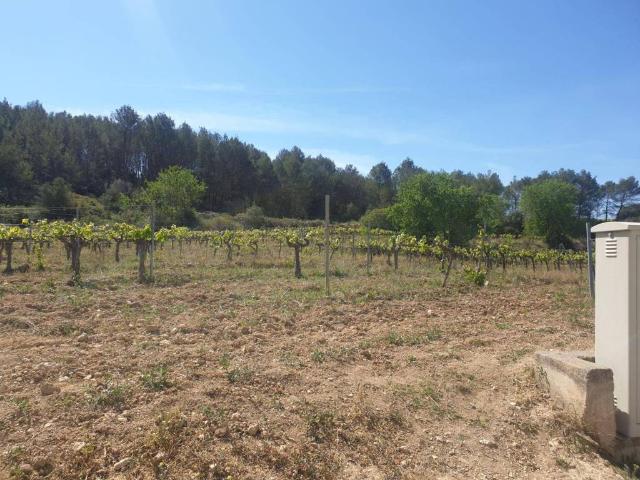 Casa Rural en venta en Olèrdola