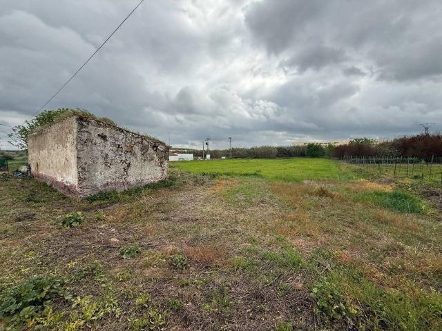 Casa Rural en venta en Llanos de Olivenza, Extremadura