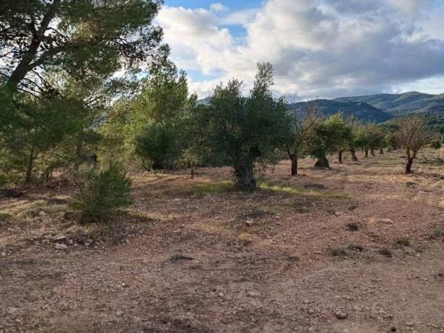 Casa Rural en venta en Onil