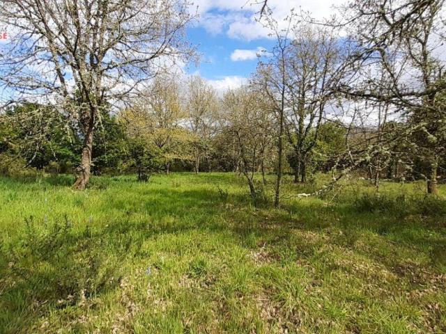 Casa Rural en venta en Ourense