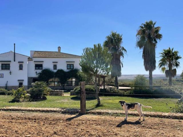 Casa Rural en venta en Paterna Del Campo