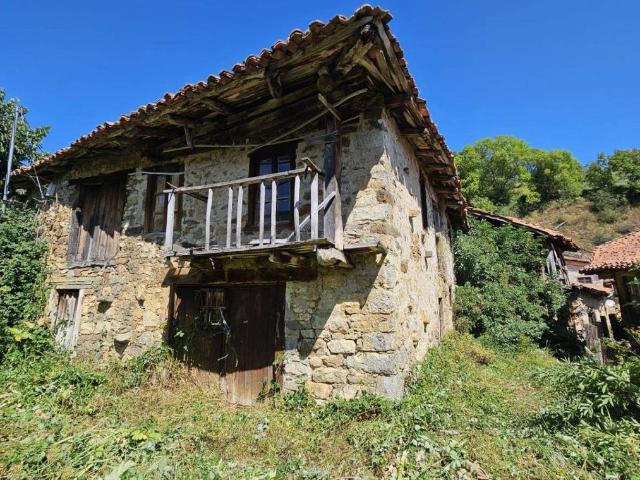 Quinta en venta en Pesaguero
