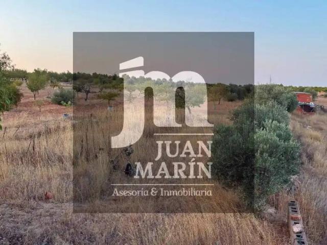 Casa Rural en venta en Peñas De San Pedro, Castilla-La Mancha