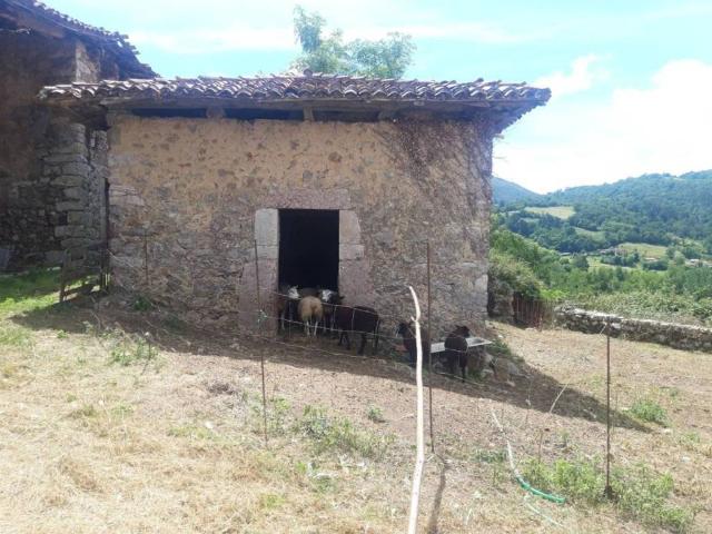 Casa Rural en venta en Piloña, Asturias