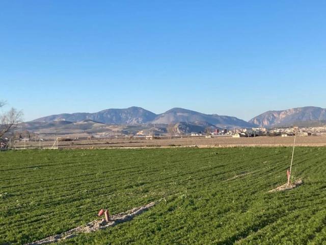 Casa Rural en venta en Comarca de la Vega de Granada, Andalucía