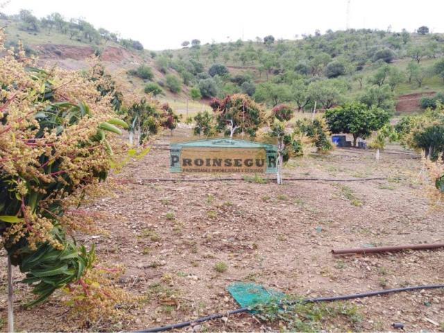 Casa Rural en venta en Pizarra