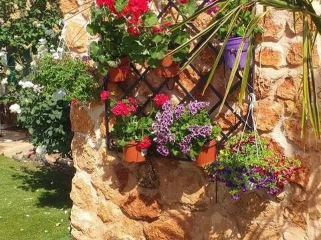 Casa Rural en venta en Pozuelo De Calatrava, Castilla-La Mancha