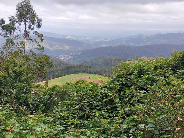 Casa Rural en venta en Pravia, Asturias