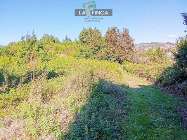 Casa Rural en venta en Pravia, Asturias