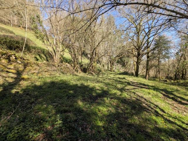 Casa Rural en venta en Puente Viesgo, Cantabria