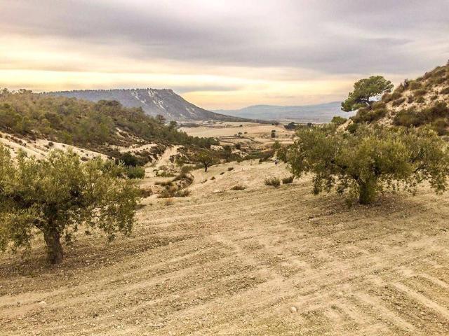 Casa Rural en venta en Valle de Ricote, Murcia