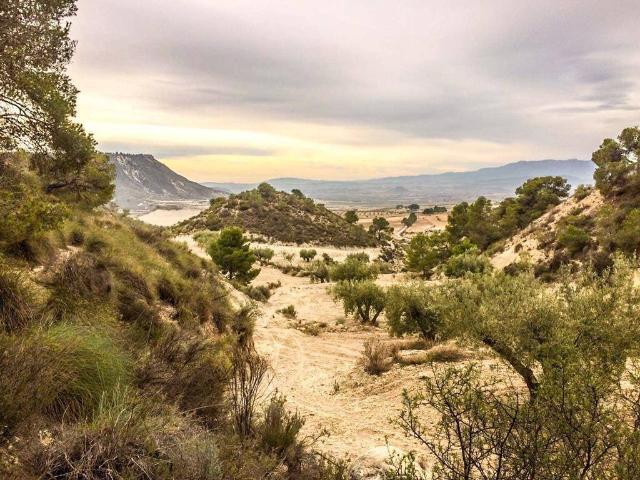Casa Rural en venta en Valle de Ricote, Murcia