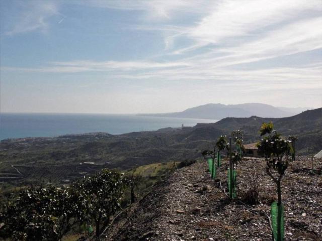 Casa Rural en venta en La Axarquía, Andalucía