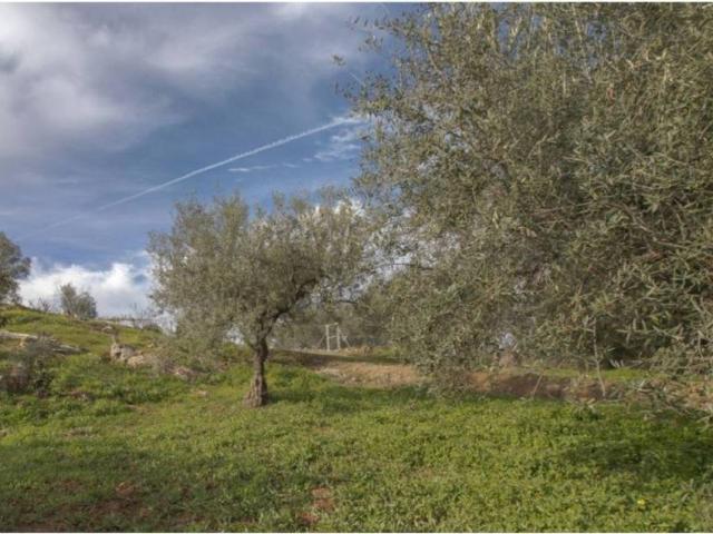 Casa Rural en venta en La Axarquía, Andalucía