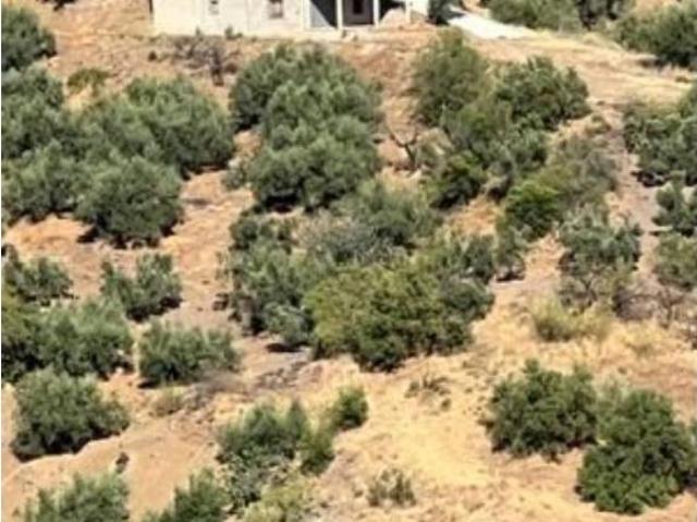 Casa Rural en venta en La Axarquía, Andalucía