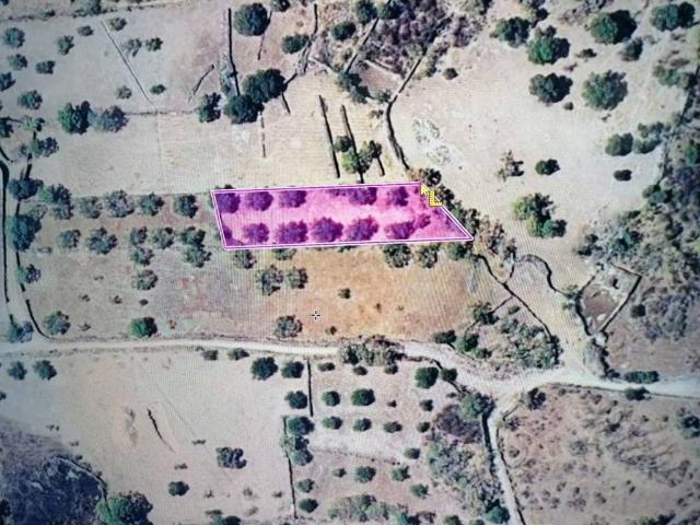 Casa Rural en venta en Robledillo De Trujillo