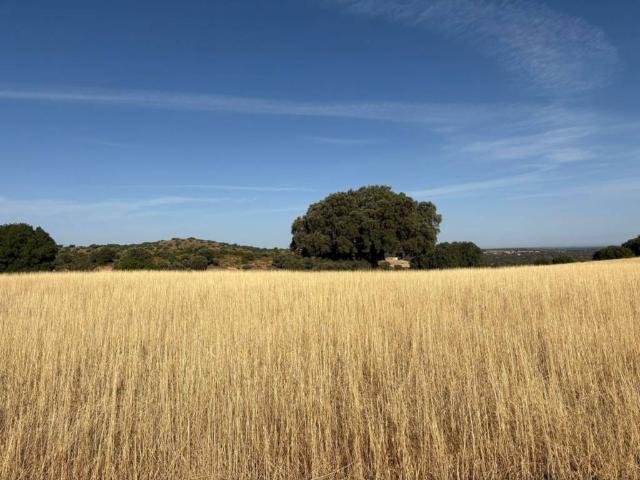 Casa Rural en venta en Ruidera, Castilla-La Mancha