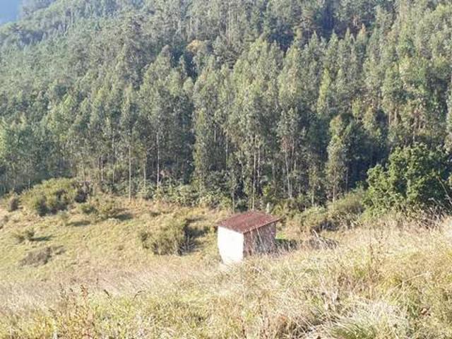 Casa Rural en venta en Salas, Asturias