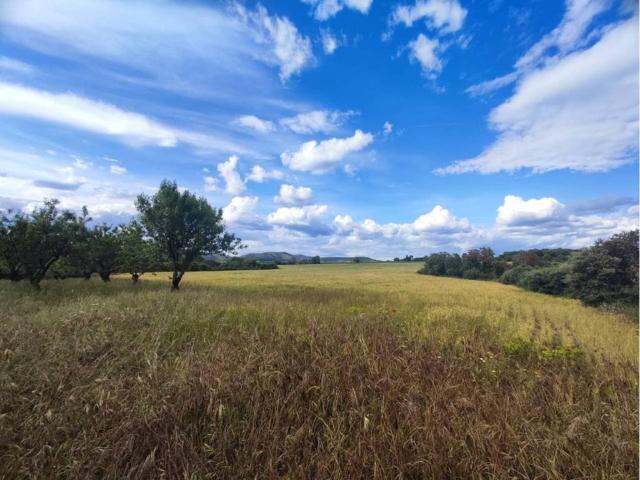 Terreno en venta en Somontano de Barbastro, Aragón