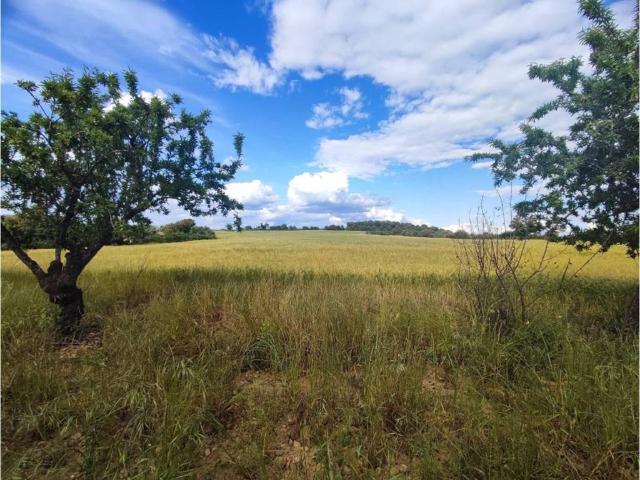 Terreno en venta en Somontano de Barbastro, Aragón