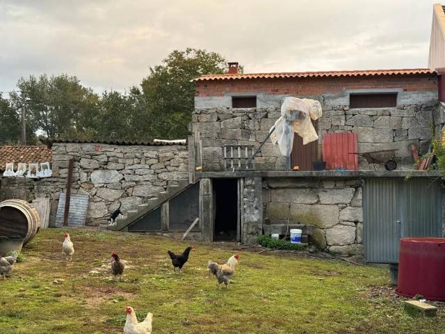 Casa Rural en venta en San Amaro