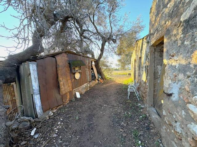 Casa Rural en venta en Montsià, Catalunya