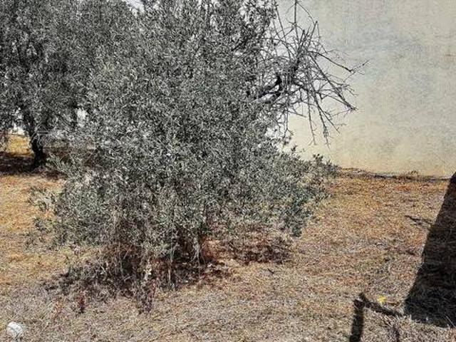 Casa Rural en venta en Alt Penedès, Catalunya