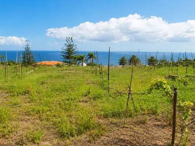 Casa Rural en venta en Santa Úrsula, Canarias