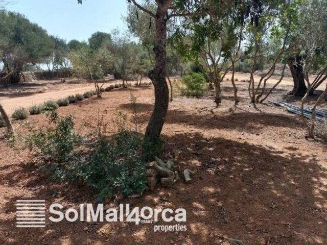 Casa Rural en venta en Migjorn, Baleares