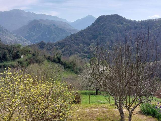 Casa Rural en venta en Santo Adriano, Asturias