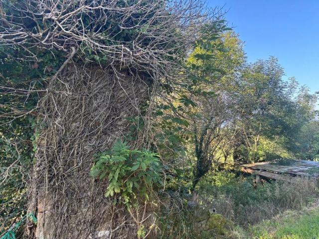 Casa Rural en venta en Saro, Cantabria