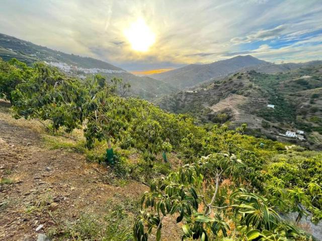 Casa Rural en venta en La Axarquía, Andalucía