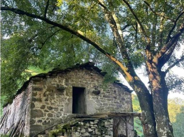 Casa Rural en venta en Selaya, Cantabria