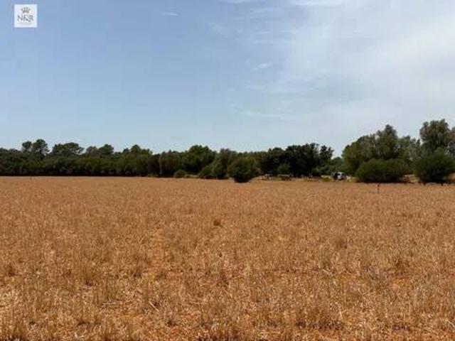 Casa Rural en venta en Pla de Mallorca, Baleares