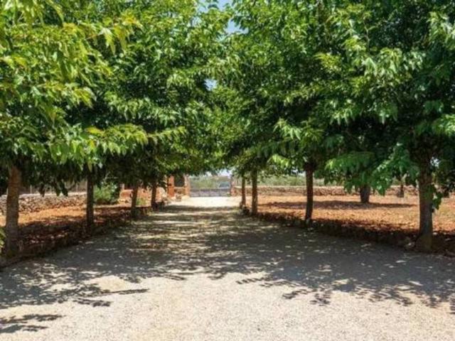 Casa Rural en venta en Pla de Mallorca, Baleares
