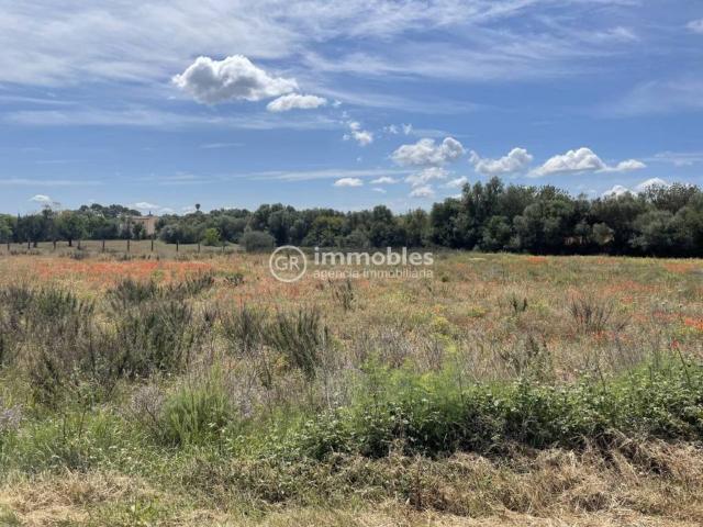 Terreno en venta en Sencelles