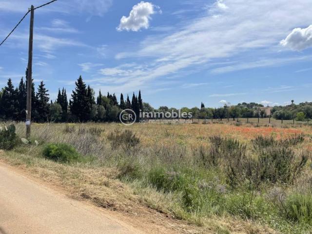 Terreno en venta en Pla de Mallorca, Baleares