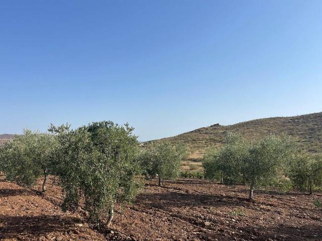 Casa Rural en venta en Senés, Andalucía