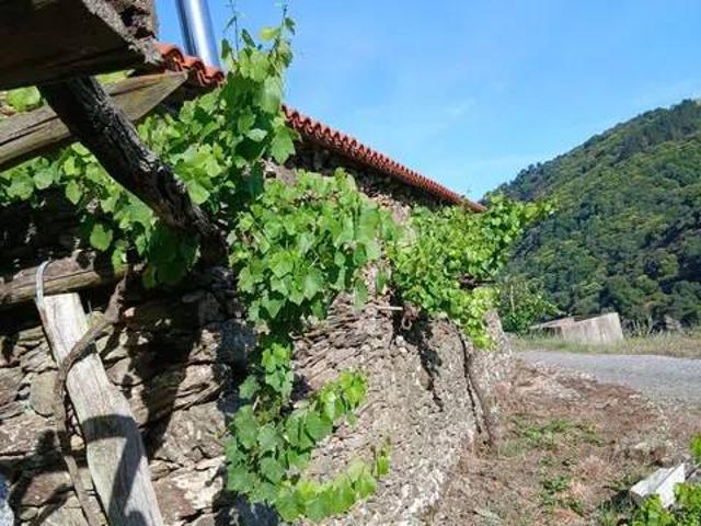 Casa Rural en venta en Chantada, Galicia
